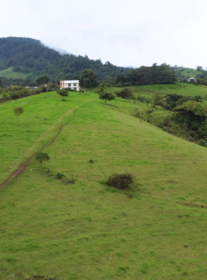 Terreno en Venta - Imagen 1