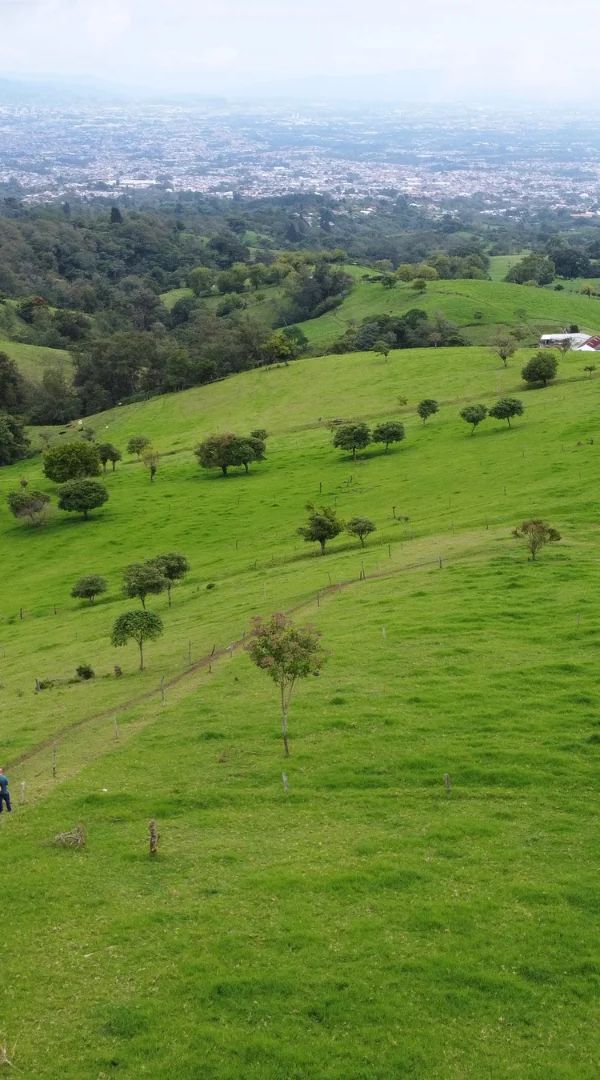Terreno en Venta - Detalle 2