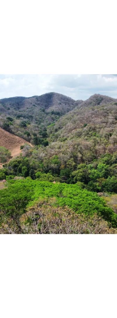 Finca en Venta