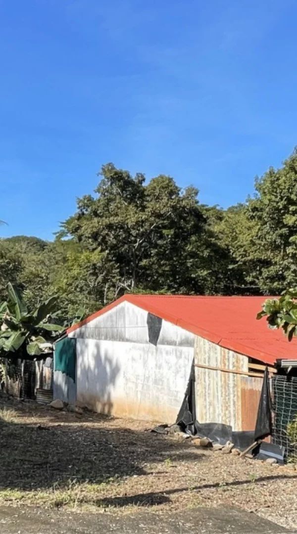 Oportunidad, Terreno con descuento - Detalle 1