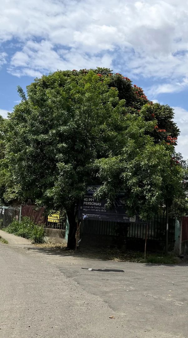 Terreno Comercial en Venta - Detalle 2