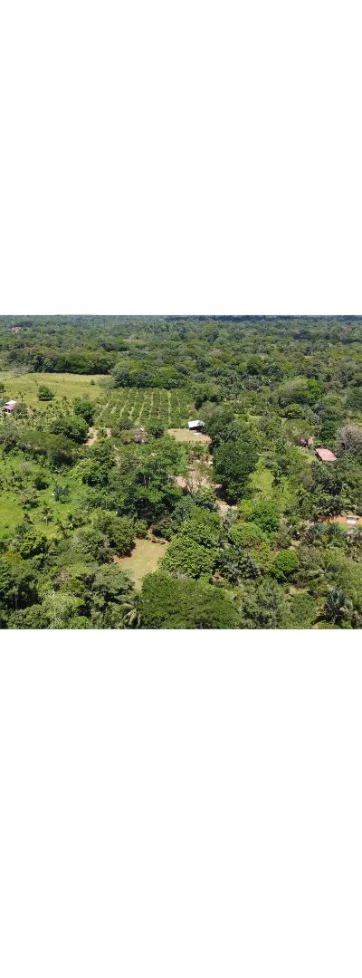 Finca en Venta